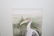 Dru Doyal " Limpkin" and "Stork" watercolor - 9