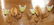 Pair of Italian sconces with Murano glass shades - 4