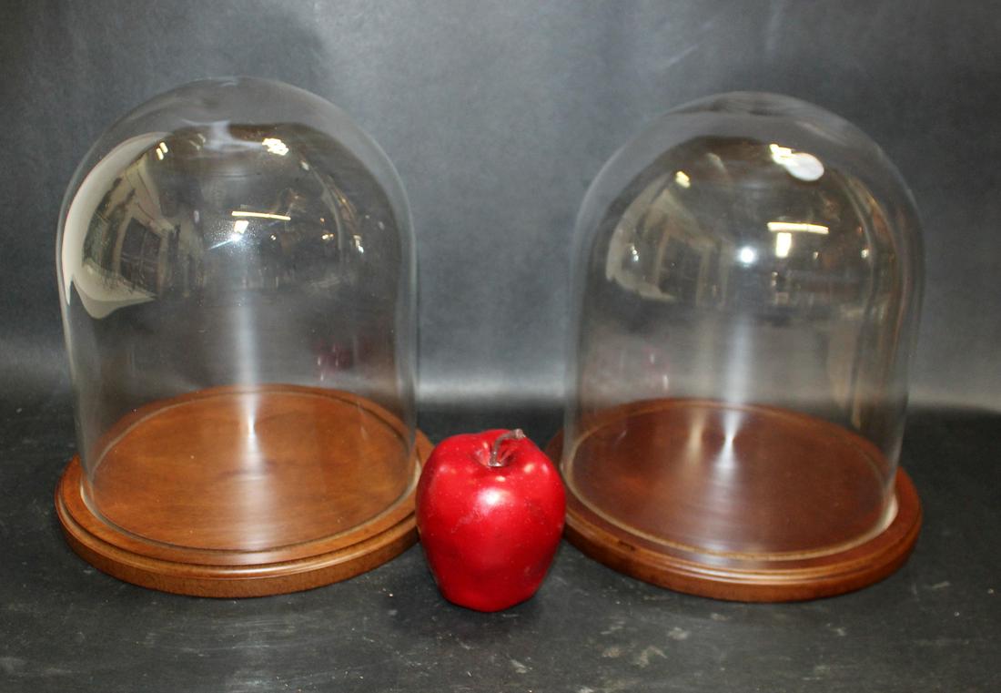 Lot of 2 glass cloche domes (1 of 4)