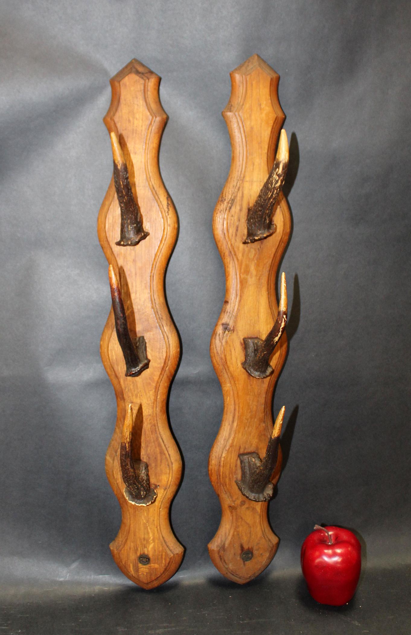 French antler gun rack on oak panels: French antler gun rack on oak panels from a hunting lodge. Each marked with Manufacture Francaise d'Armes St Etienne. 26"l x 4"w x 5"d