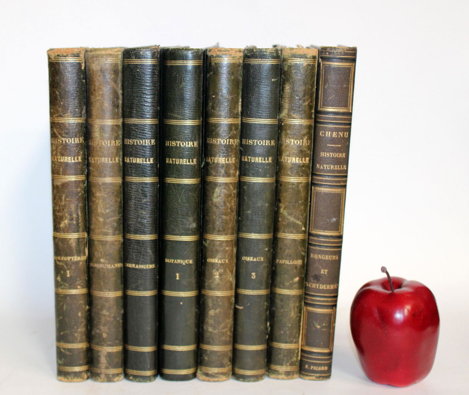Lot of 8 French leather books (1 of 4)
