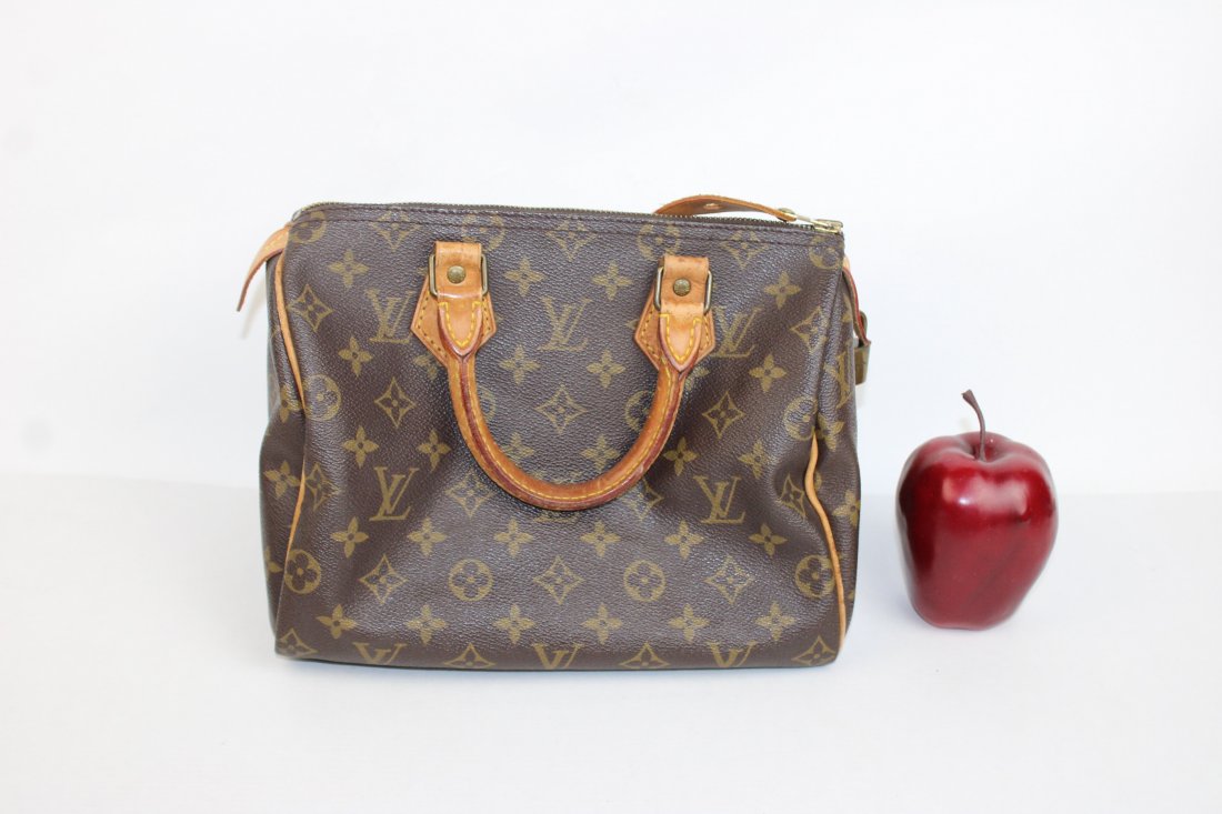 Louis Vuitton monogram Speedy 25 bag (1 of 13)
