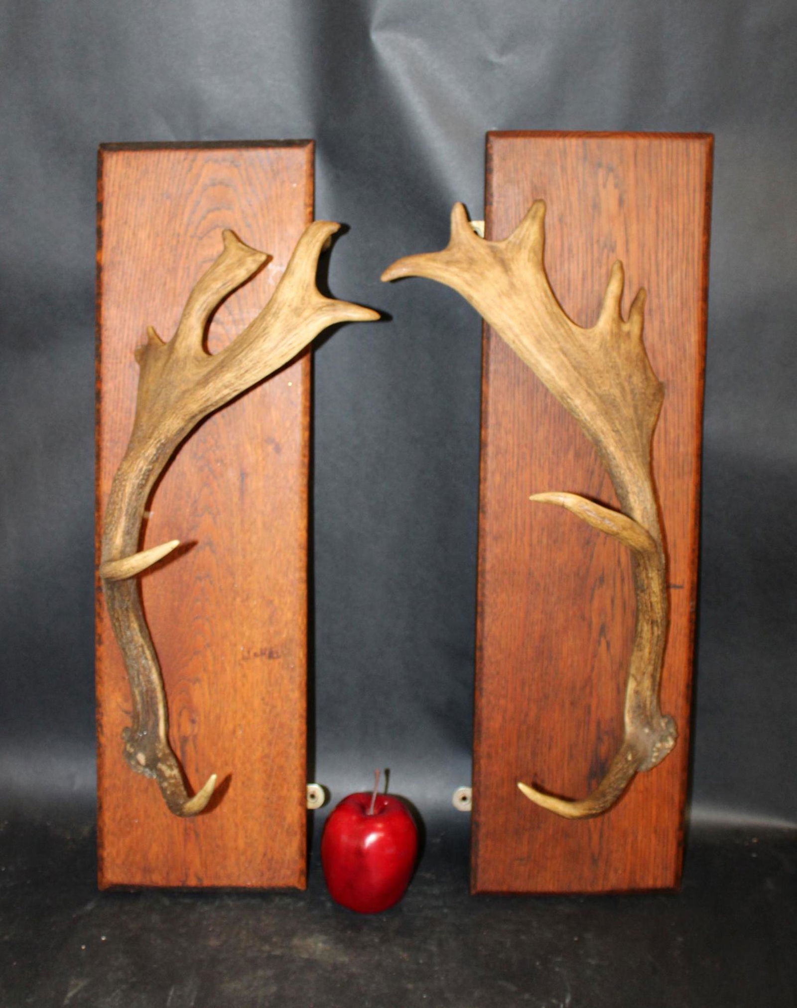 Pair of deer antler hat racks mounted on oak plaques (1 of 4)