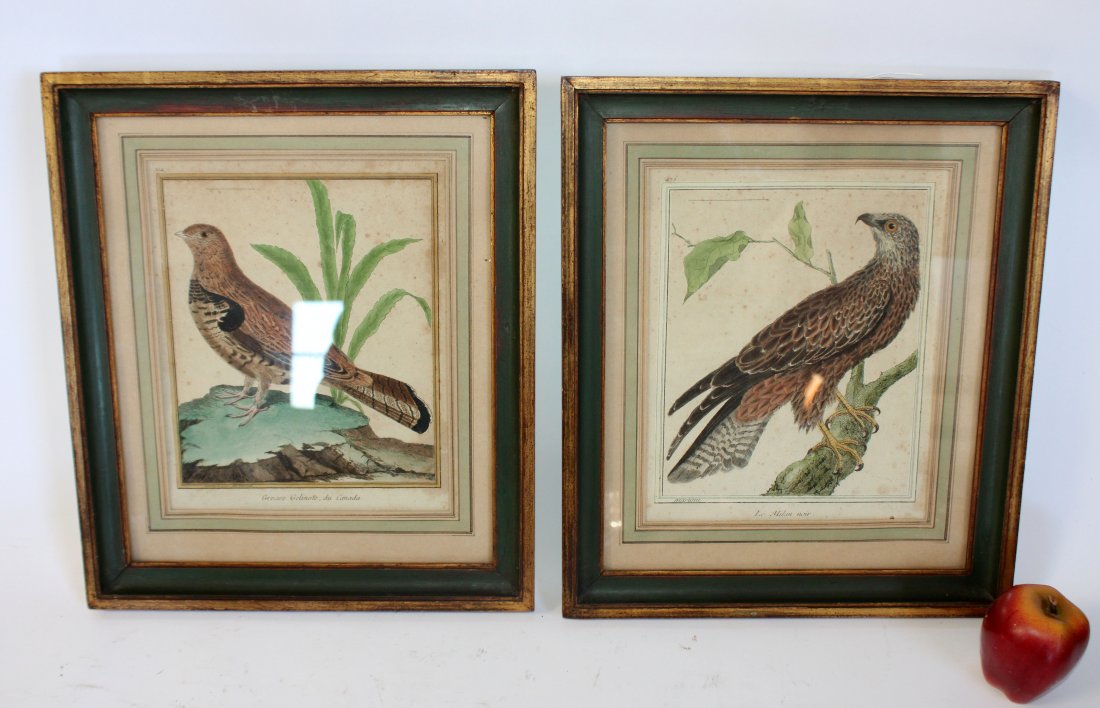 Pair framed Audubon prints (1 of 8)