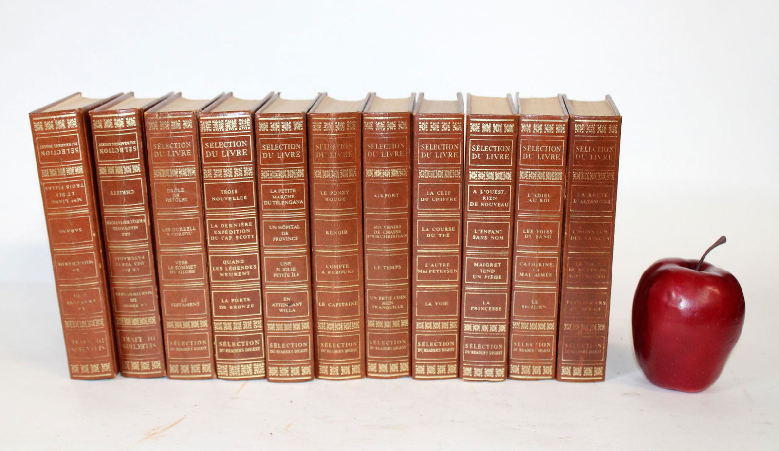 11 French leather bound books (1 of 3)