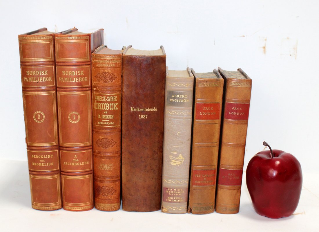 Lot of antique leather bound books (1 of 9)