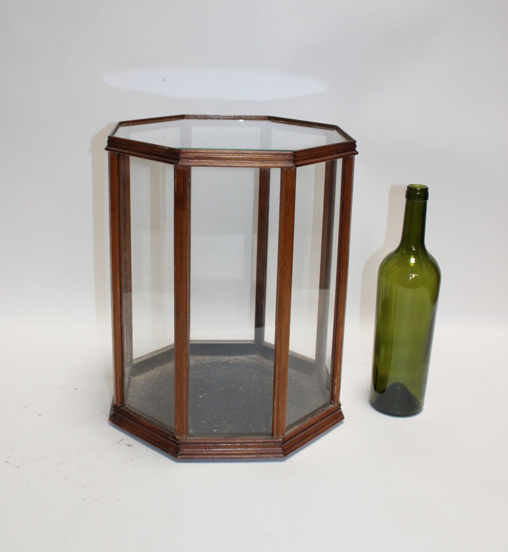 French octagonal terrarium display case (1 of 9)