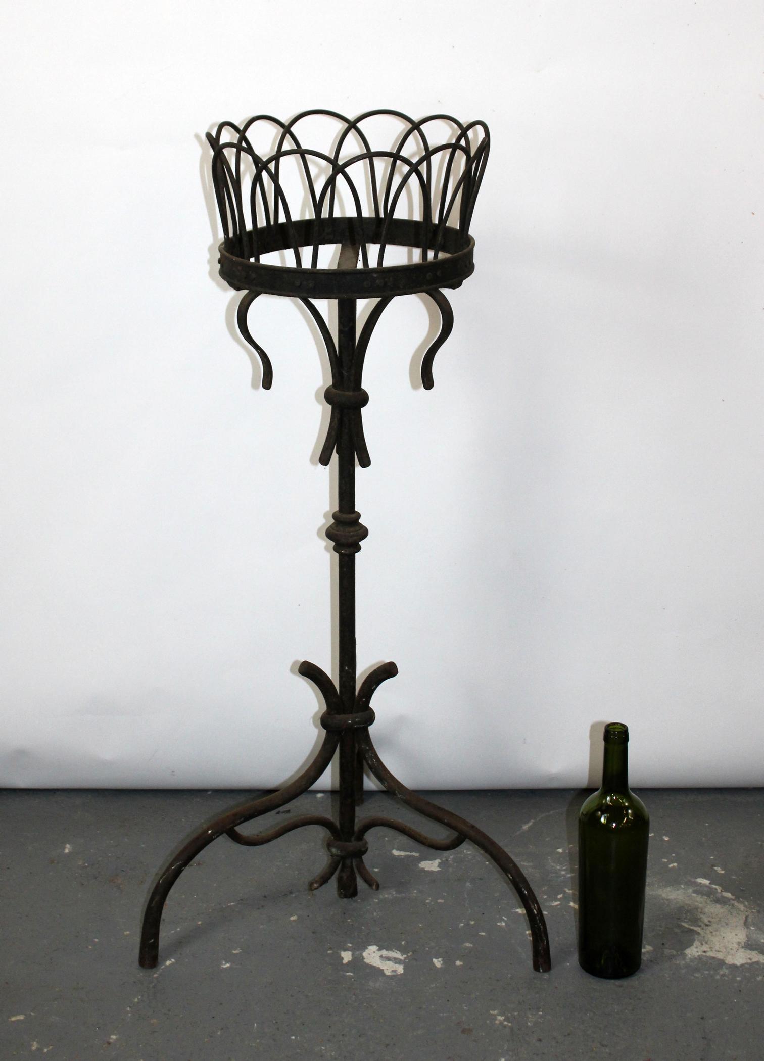 Antique French wrought iton plant stand (1 of 6)