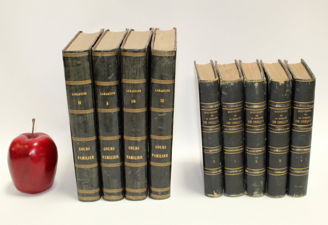 Lot of 9 French leather books (1 of 8)