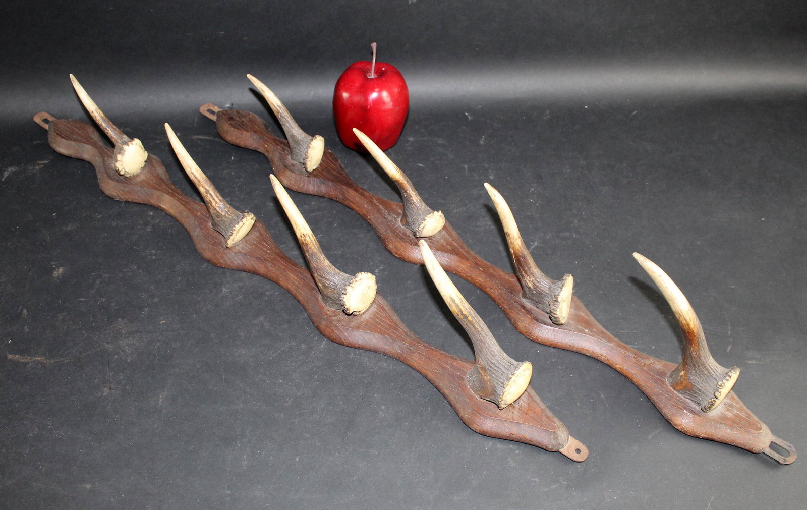Pair of French oak coat racks with organic horns (1 of 6)