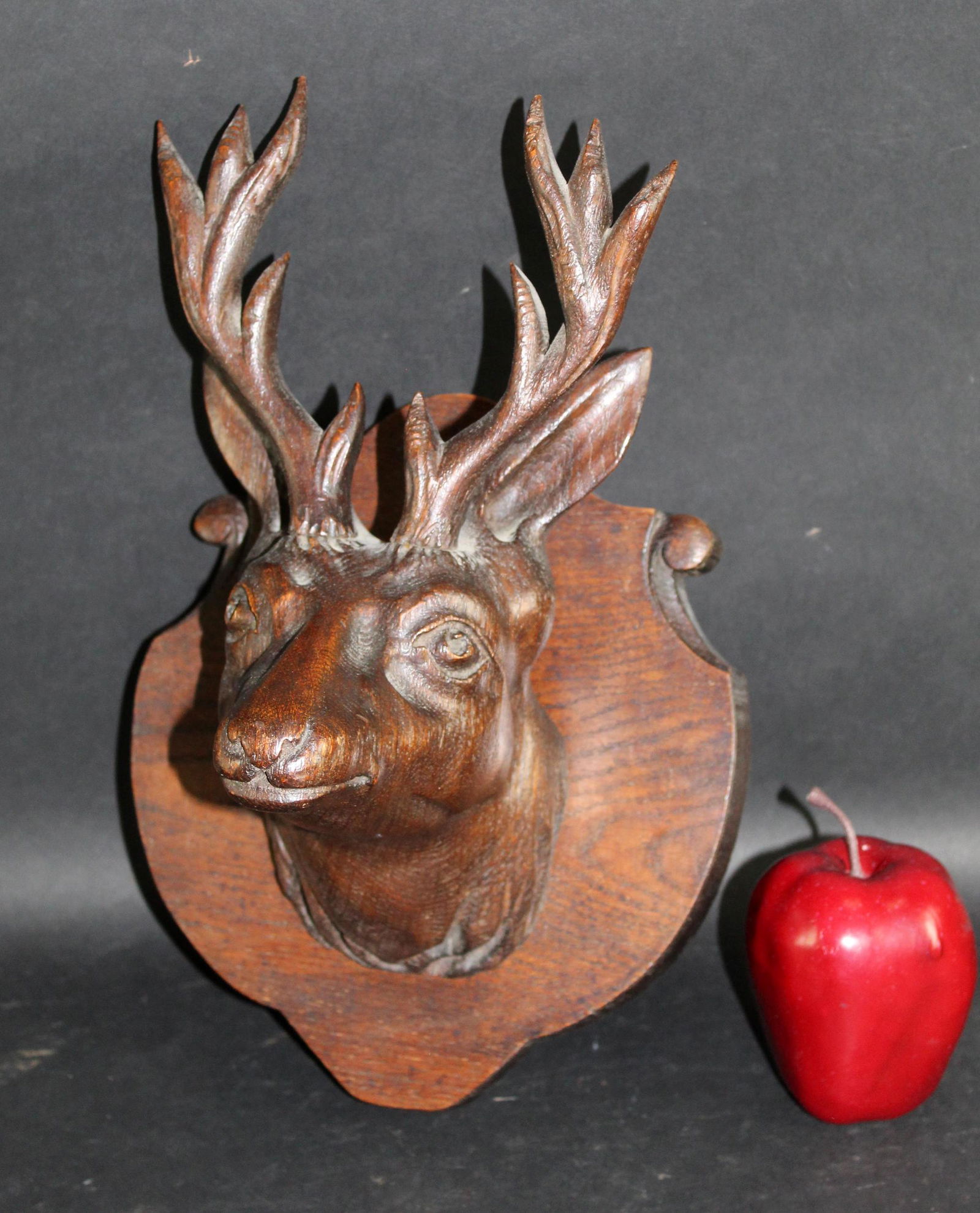 French carved Black Forest deer head mount (1 of 8)