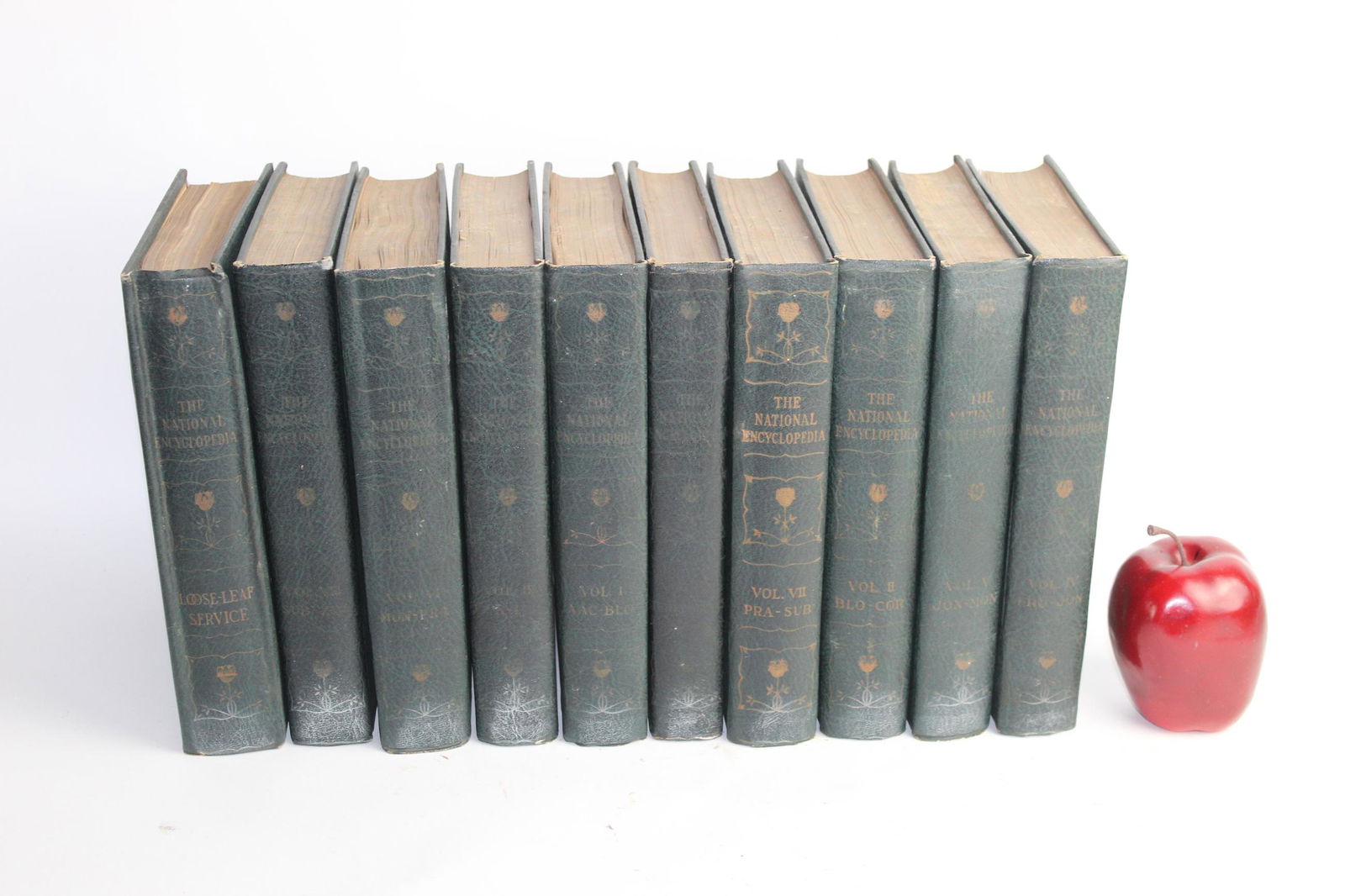 Set of 10 1925 National Encyclopedia books (1 of 6)