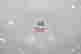 item-131890269=6