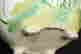 item-131890323=13