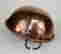 item-131890334=10