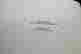 item-131890355=8