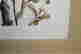 item-131890489=19