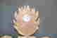 item-131890502=14