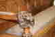item-131890511=13