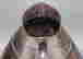 item-131890659=9