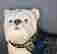 item-134227688=3
