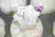 item-134228680=15