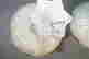 item-134228680=16