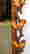 item-134230122=12