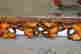 item-134230122=14