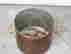 item-136925993=8
