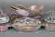 item-136926063=11
