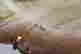 item-136926086=3