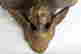 item-136926143=4