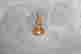 item-136926279=9