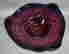 item-136926292=7
