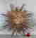 item-136926412=2