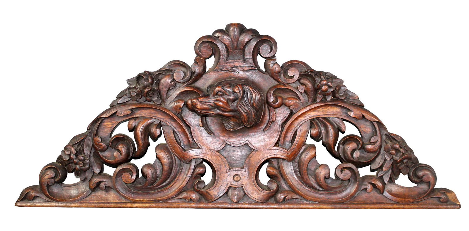 Antique French carved oak crest with dog head (1 of 10)