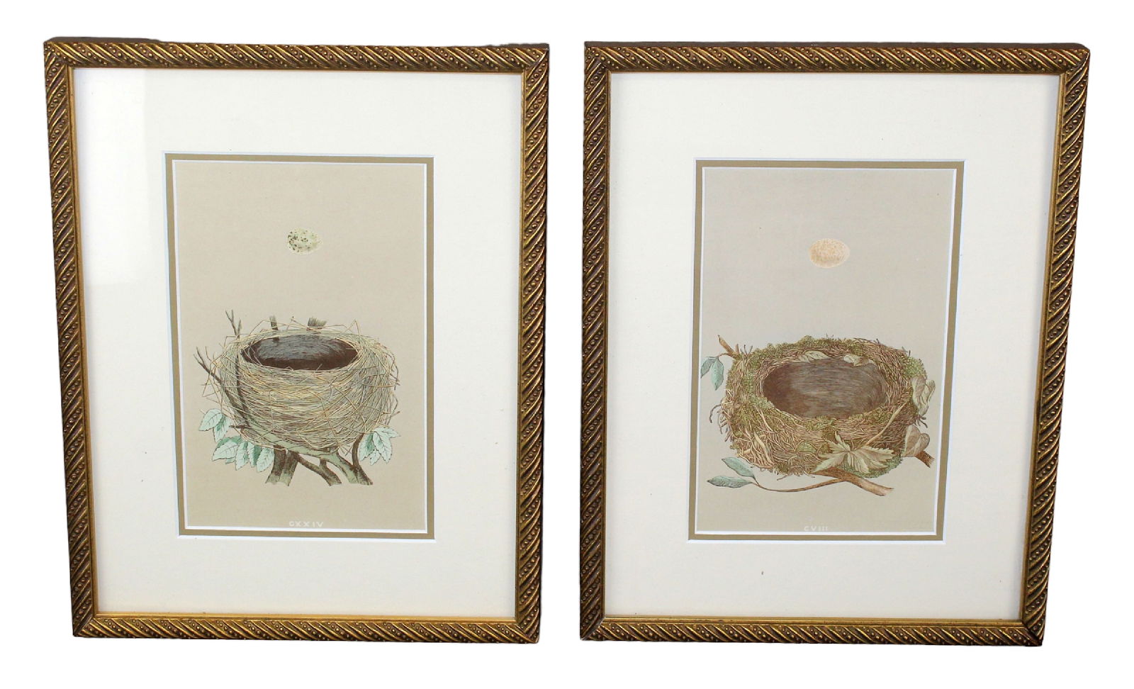 Lot of 2 framed birds nest prints (1 of 6)