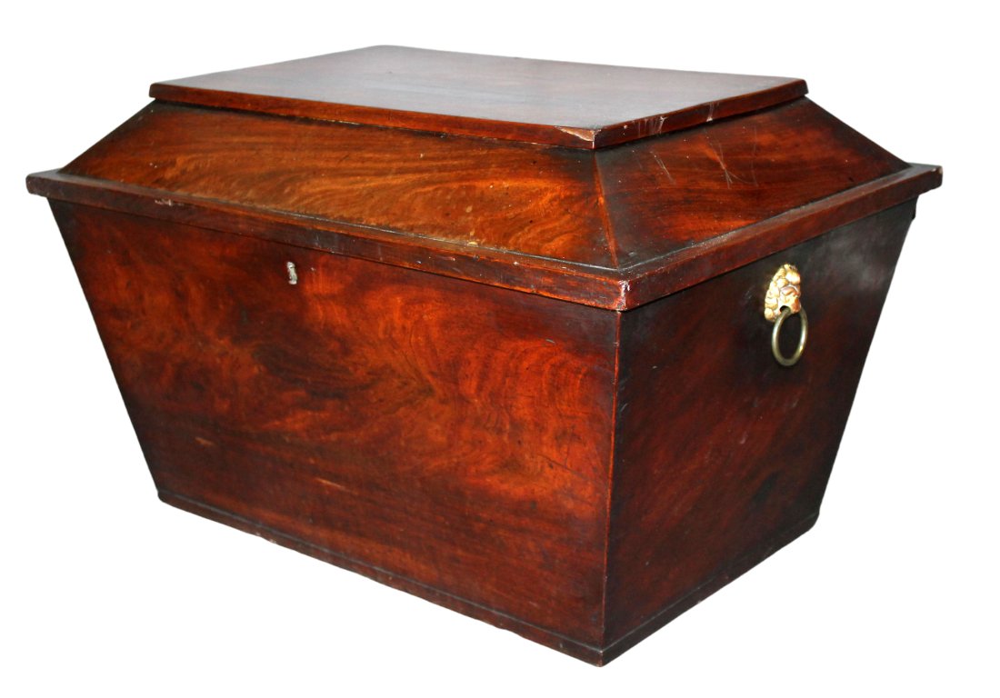 French Louis Philippe cellarette box in mahogany with brass lion head pulls (1 of 11)