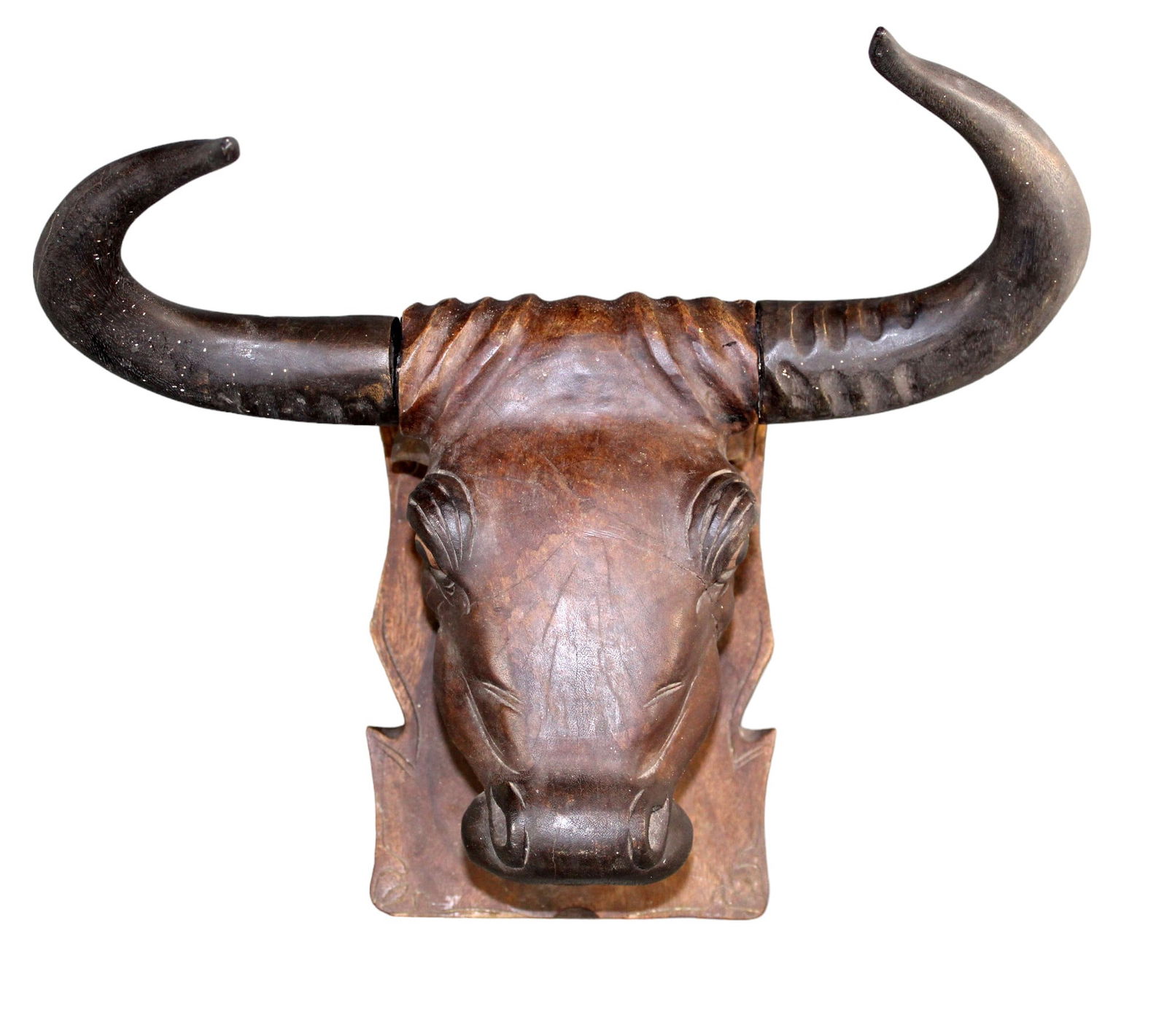French carved walnut steer head from a butcher shop (1 of 17)