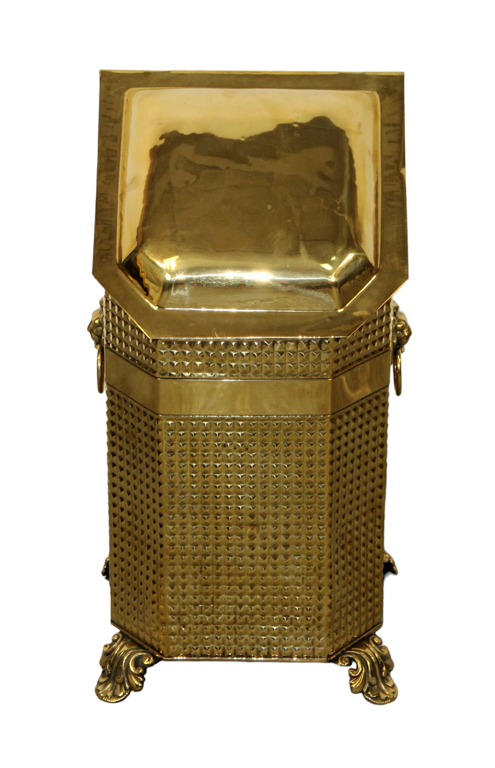 Ornate brass coal hod on paw feet with lion heads (1 of 8)