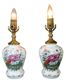 Pair of Paris porcelain lamps with birds