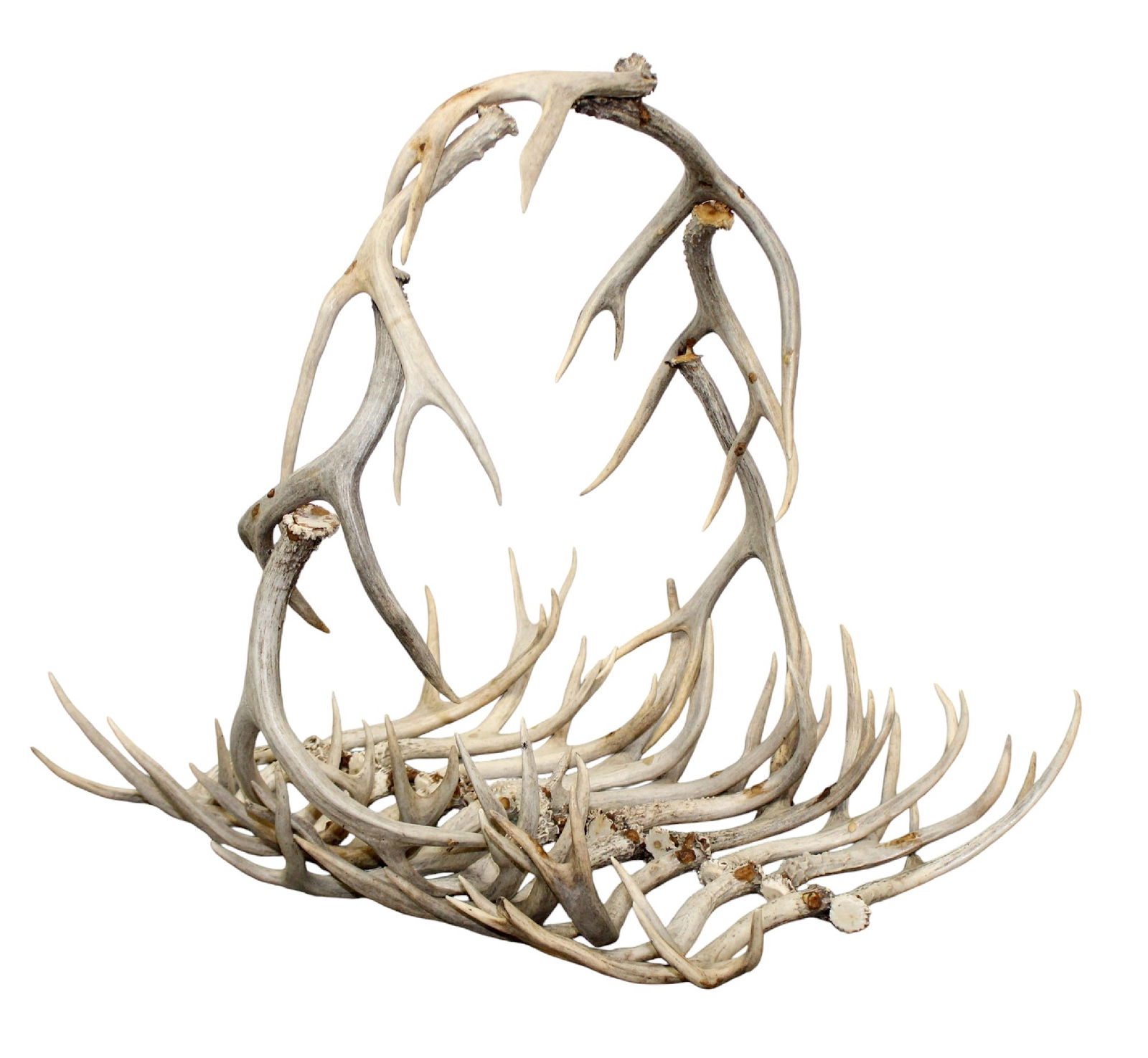 Antler fireplace log holder (1 of 9)