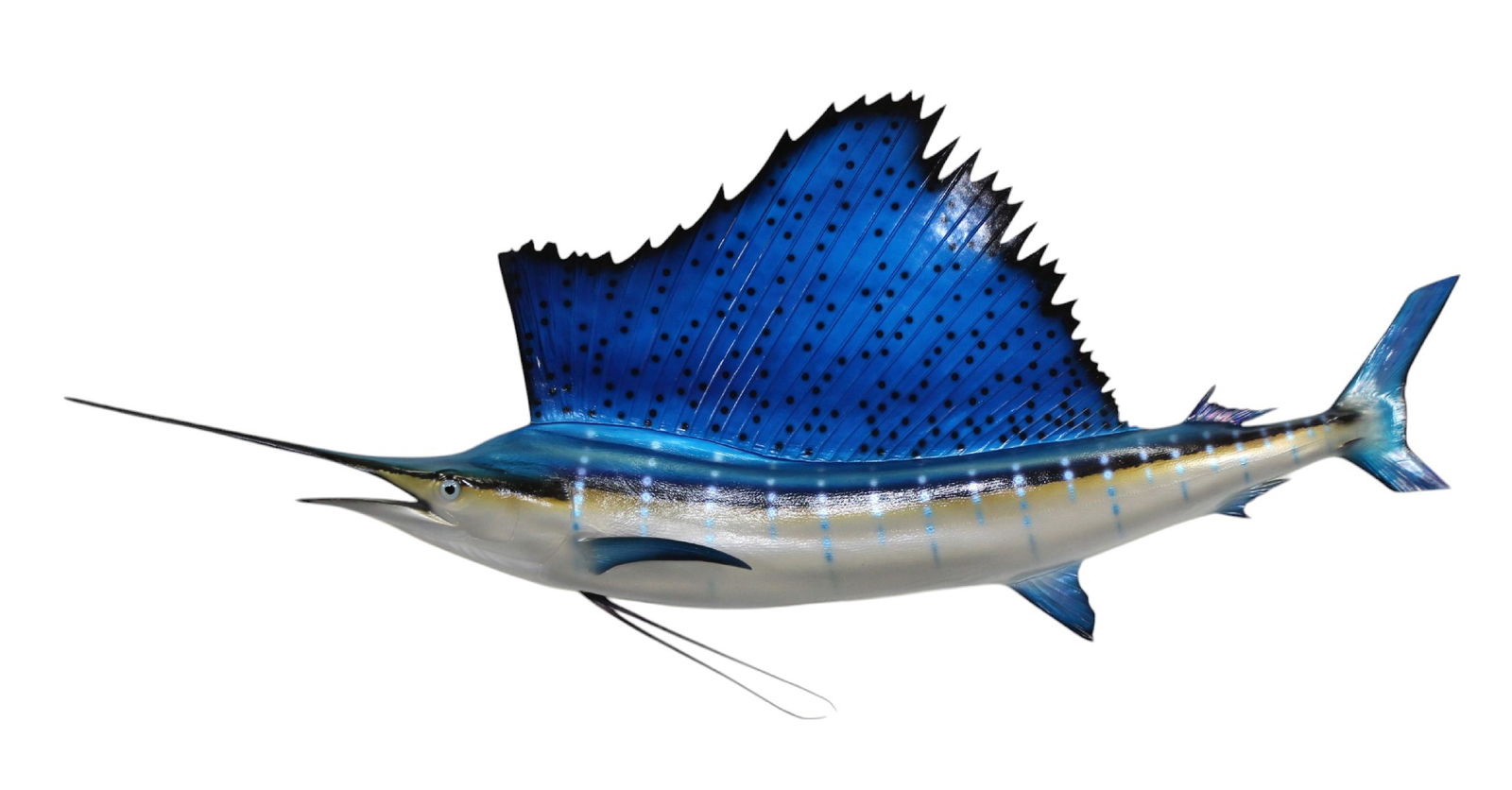 Sailfish mount (1 of 9)