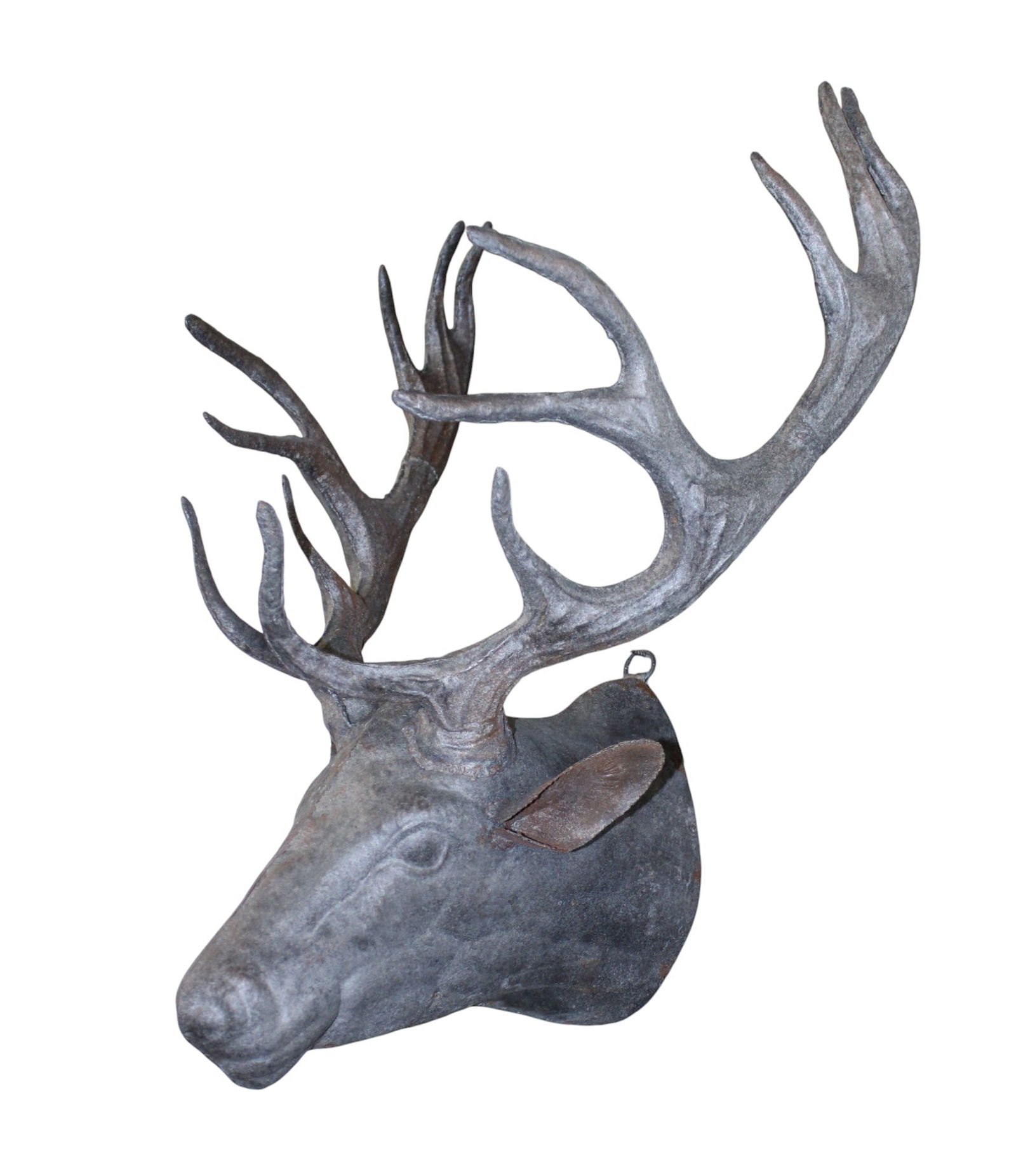 Tole elk head mount (1 of 8)