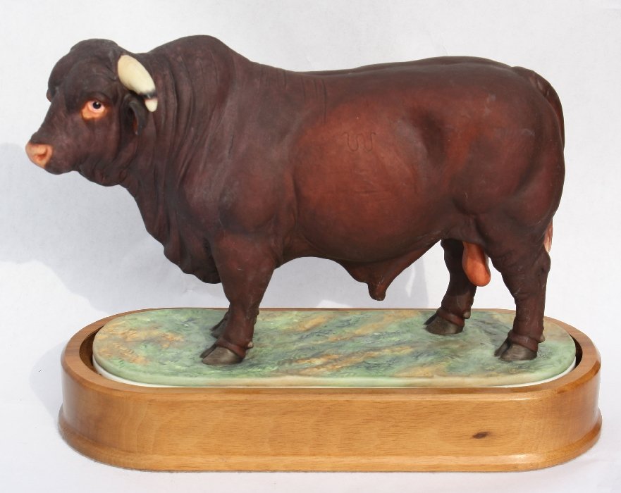 Royal Worcester Santa Gertrudis bull: 1961. Limited edition English bone china. On Wooden plinth. 8 1/4"h x 10 1/2"l