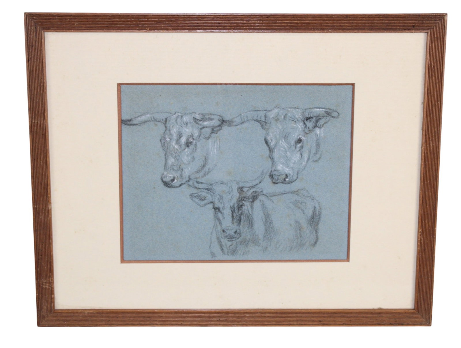Continental pencil sketch of bull framed under glass: Continental pencil sketch of bull framed under glass. Sight size 8"h x 10"w Framed 14"h x 17 3/4"w. Weight: 3lbs.