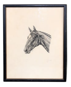 "Man-O-War" Marguerite Kirmse etching depicting horse
