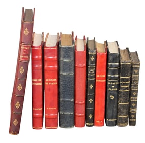 Lot of 10 French leather bound books