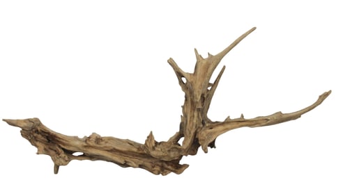 Driftwood sculpture